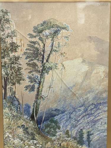 Late 19th century Indian School, watercolour depicting mount...