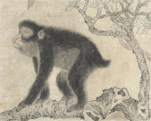 ANONYMOUS 'Macaque' (2)