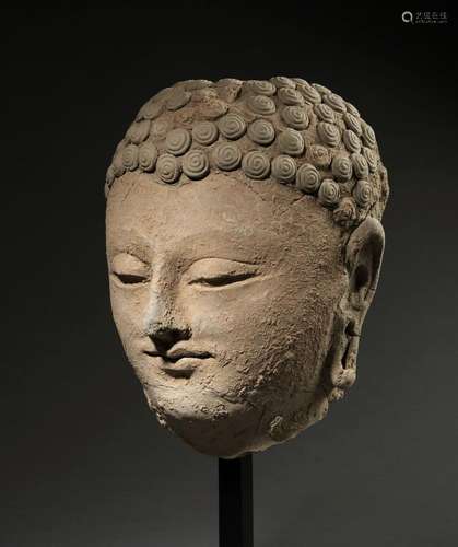 ﻿Tête de Buddha<br />
Art du Gandhara ca 3°-5° siècles<br />...