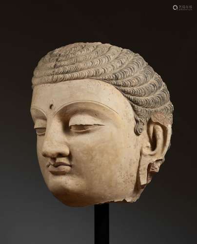 ﻿ Importante tête de Buddha<br />
Art du Gandhara, ca 4°-5° ...