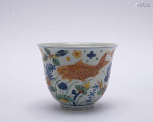 A blue and white Wu cai 'fish and waterseeds' bowl