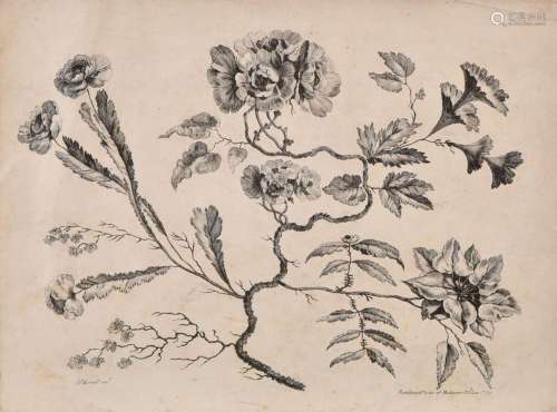D'après Jean PILLEMENT (1728 - 1808)<br />
Fleurs idéales ou...