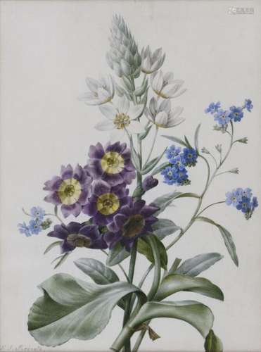 Pierre-Joseph REDOUTÉ (1759-1840).<br />
Fleurs, myosotis, v...