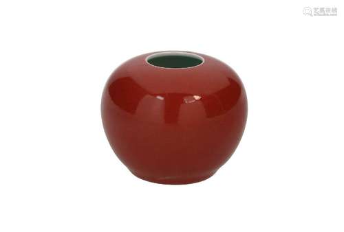 A red glazed porcelain waterpot