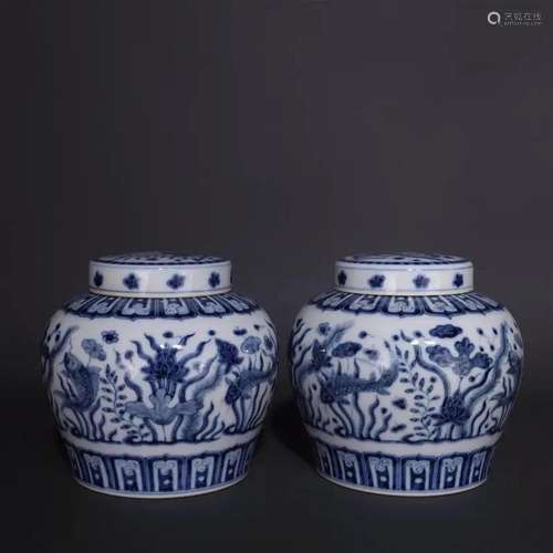 A Pair of Blue and White Fish and Water Grass Tea Jars