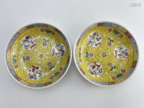 A pair of imperial colour dishes, marked, Qing Dynasty Pr.