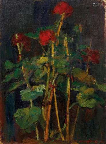 ARTURO CHECCHI 1886-1971 Geranium