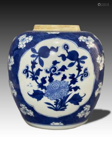 A CHINESE BLUE & WHITE JAR, KANGXI PERIOD (1662-1772)