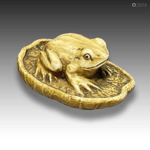 AN IVORY NETSUKE OF A TOAD, MEIJI PERIOD, 19TH CENTURY