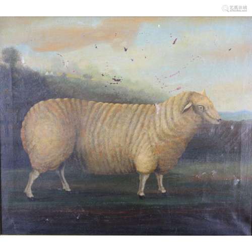 Unsigned Oil On Canvas Prize Sheep.