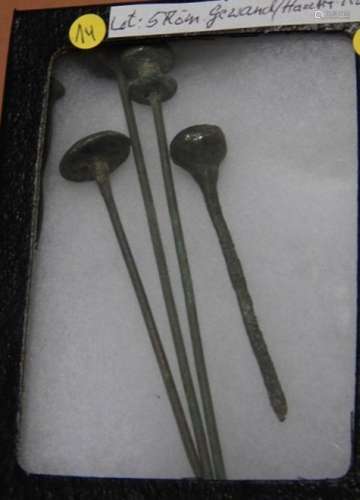 Convolute 5 Roman robe pins