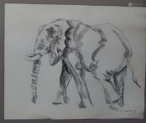 Bull elephant