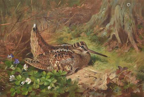 ARCHIBALD THORBURN (BRITISH 1860-1935), WOODCOCK AND CHICKS