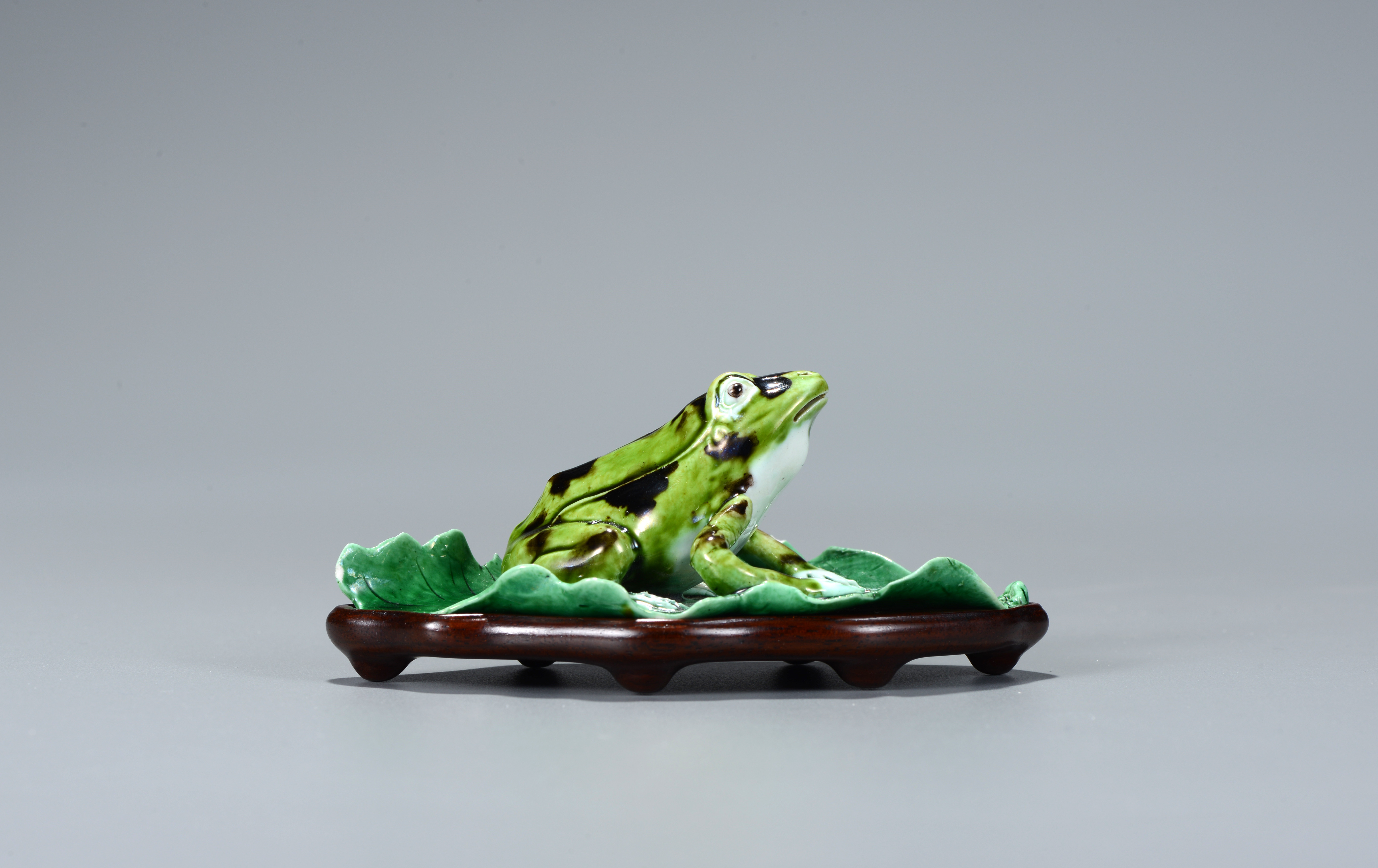 青蛙瓷器技能图片