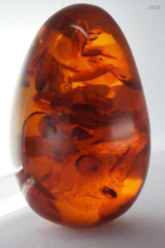 Natural amber egg shape ornament