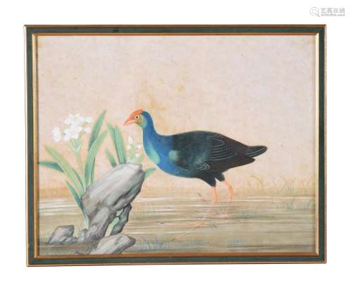 A MATCHED SET OF FIFTEEN ANGLO-CHINESE WATERCOLOURS OF BIRDS...