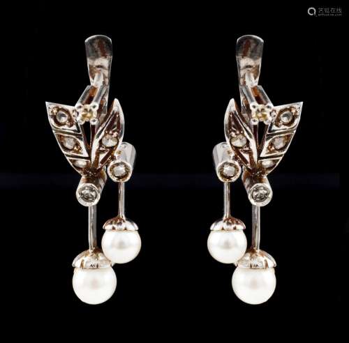 A pair of earrings