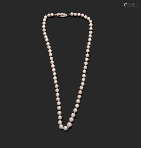 Collier de perles fines, fermoir monture en or gris orné de ...