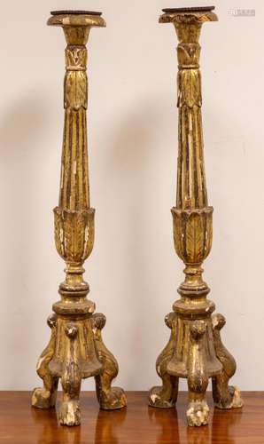 Pair of Giltwood Prickets