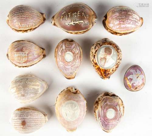 19th Century Carved Cowrie Shells