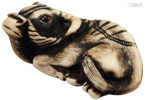 Netsuke eines Büffels