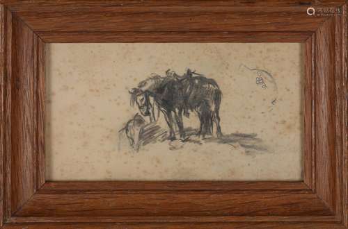 Attributed to Lucy Kemp-Welch - Study of a Horse