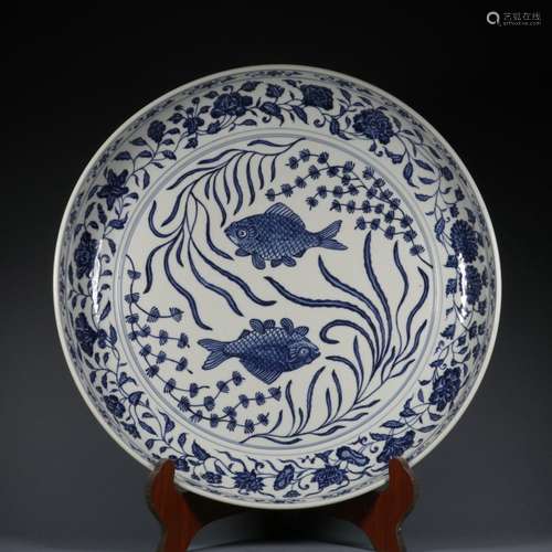 Blue and white fish and algae plate