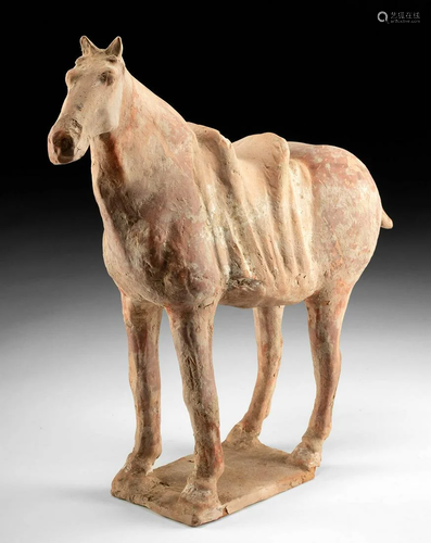 Chinese Tang Dynasty Pottery Horse, TL Tested