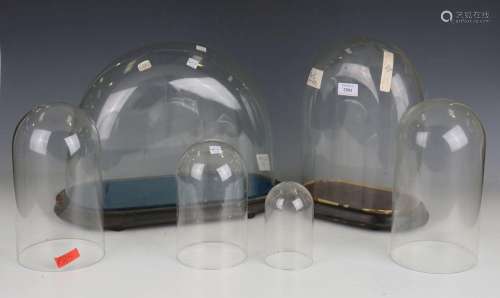 A Victorian glass display dome