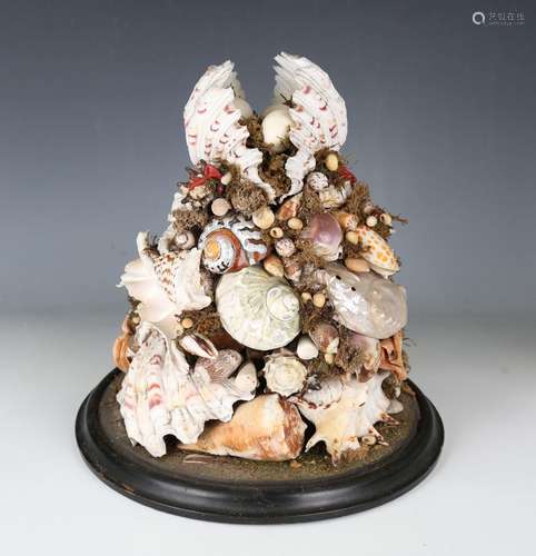 A Victorian seashell specimen arrangement