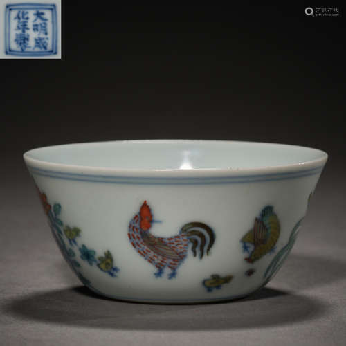 Ming Dynasty of China,Fighting Colors Cup