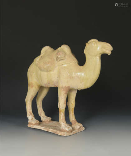 唐代 釉陶骆驼