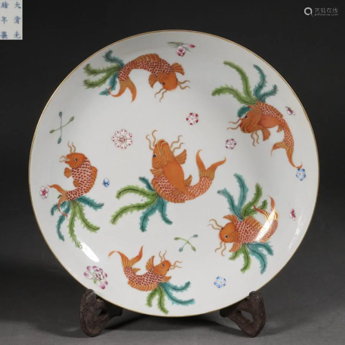 China Qing Dynasty Pastel drawing hornwort pattern plate