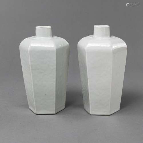 A PAIR OF HEXAGONAL PORCELAIN VASES