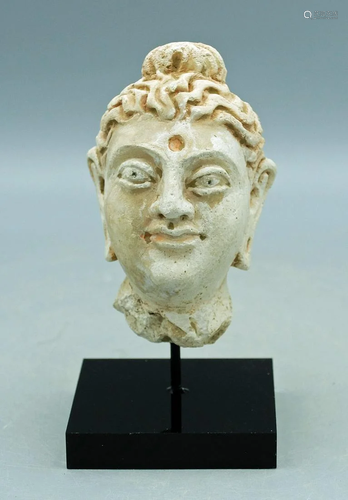 Gandharan Stucco Head - Indus Valley