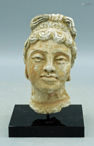 Gandharan Stucco Head - Indus Valley