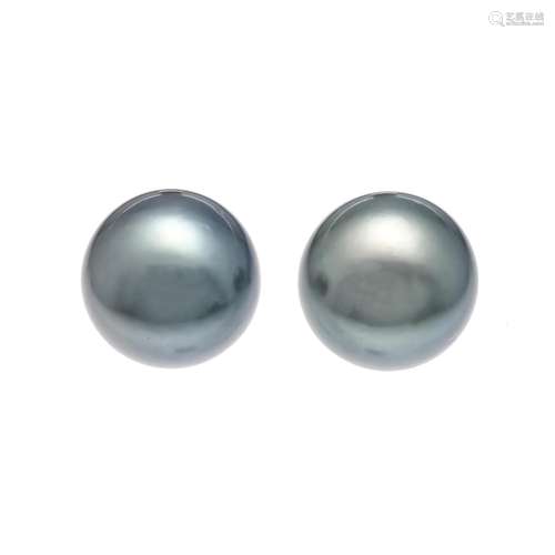 Tahitian pearl stud earrings W