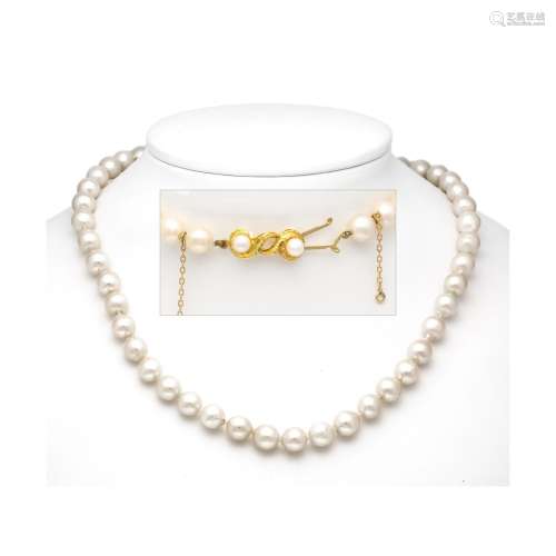 Akoya pearl necklace with clas