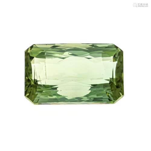 Tourmaline 16.59 ct, octagon,