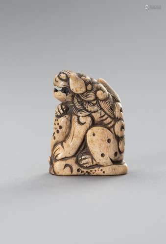 A STAG ANTLER NETSUKE OF A SHISHI ON A ROCK