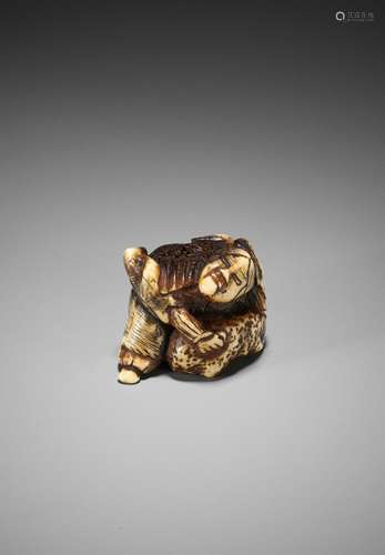 A STAG ANTLER NETSUKE OF MATANO NO GORO