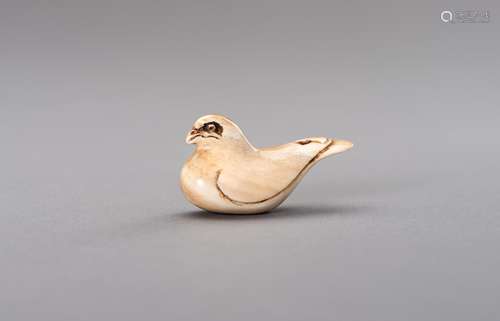 Ɏ AN IVORY NETSUKE OF A DOVE