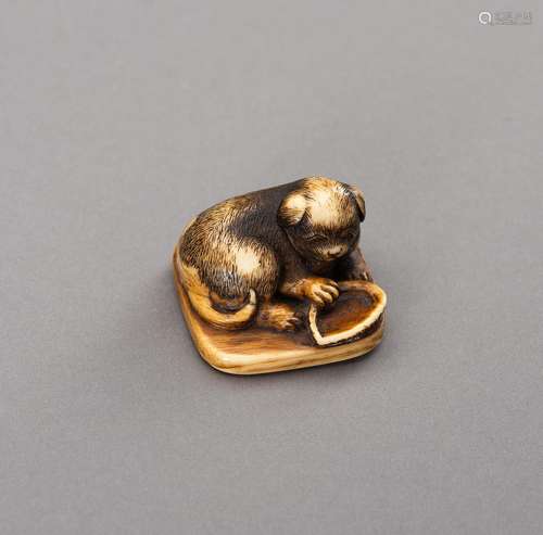 Ɏ AN IVORY NETSUKE OF A RECLINING PUPPY WITH AWABI