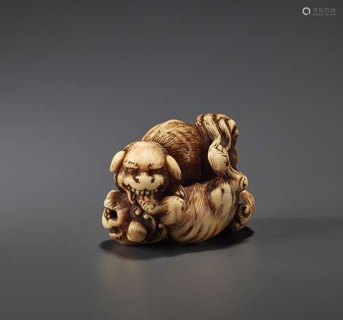 Ɏ A FINE IVORY NETSUKE OF TWO FIGHTING SHISHI BY KINSHI