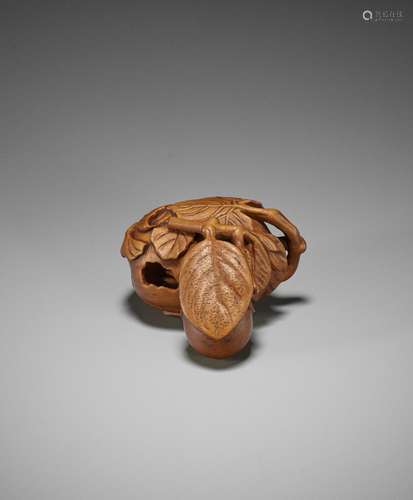 A FINE WOOD NETSUKE OF A CRICKET INSIDE A PUMPKIN