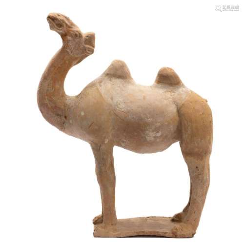 A terracotta camel tomb figure