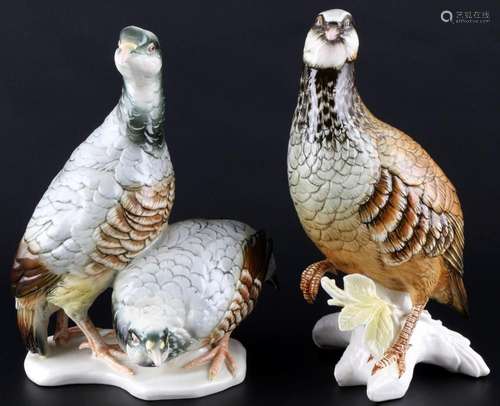 Karl Ens partridge with partridge pair, Volkstedt, großes Re...