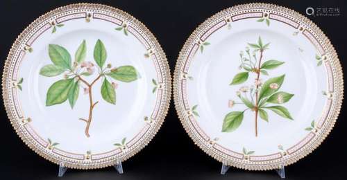 Royal Copenhagen Flora Danica 2 dinner plates 3549, 2 Speise...