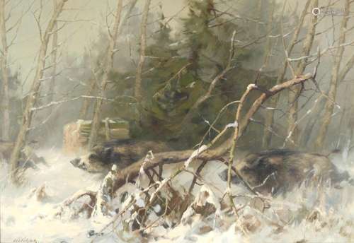 Manfred Schatz (1925-2004) wild boar in winter, Wildschweine...