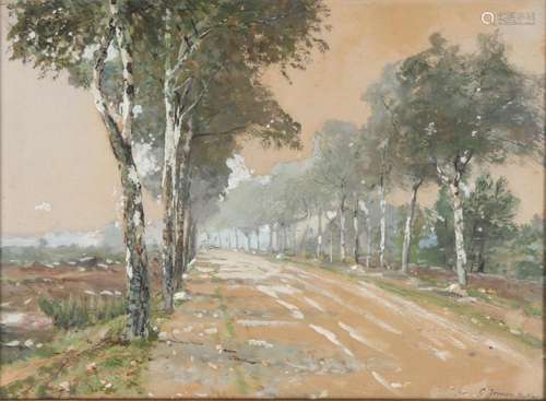 Carl Irmer (1834-1900) avenue, Allee,